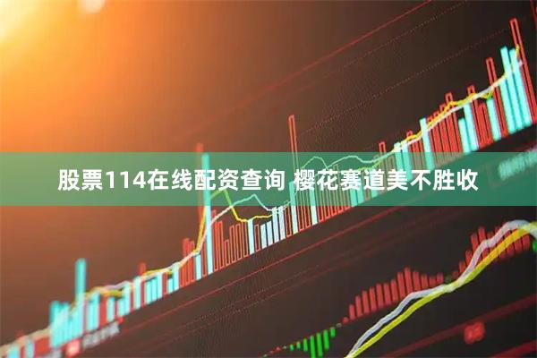 股票114在线配资查询 樱花赛道美不胜收